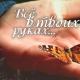 Butterfly parable: everything is in your hands