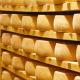 Cheese production as a business: a detailed development plan