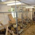 Opening your own business: breeding chickens, is it profitable or not?